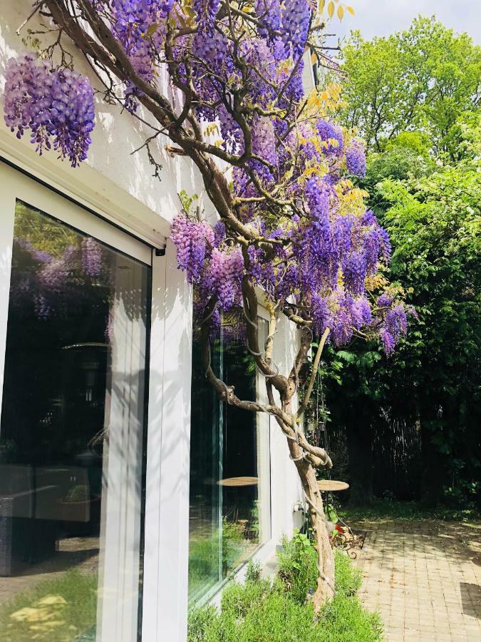Villa Plagniau Rixensart Bagian luar foto